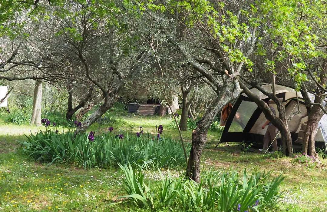 Auberge de Jeunesse HI Nîmes-1